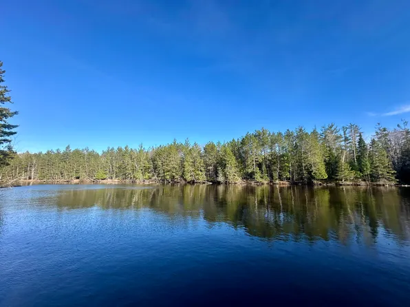 Connon Rd, Hillman, MI 49746
