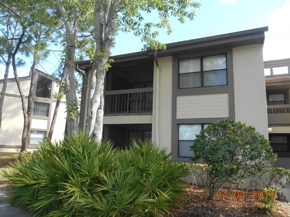 284 Woodlake Wynde, Oldsmar, FL 34677