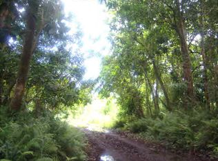 Old Sugar Cane #ROAD?, Pahoa, HI 96778