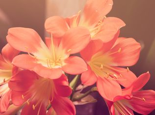 107 Calvert St, Seaboard, NC 27876