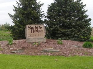 10961 W Saddle Dr, Monee, IL 60449