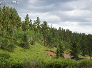 1676 Pathfinder Road, Florissant, CO 80816