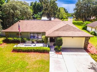 1317 Cambron Dr, Valrico, FL 33596