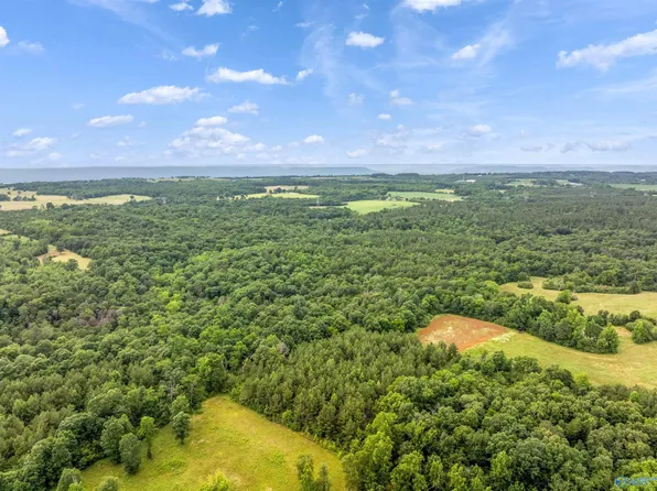 County Road 605, Section, AL 35771