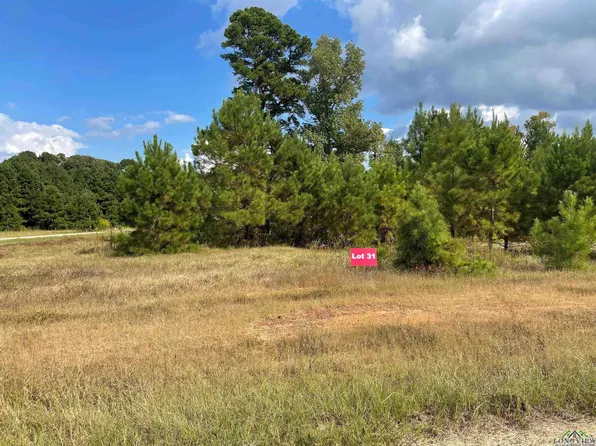 31 County Road 2204d & Dm #1797, Tatum, TX 75691