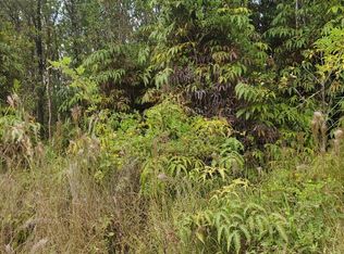 Ohialani Rd, Volcano, HI 96785