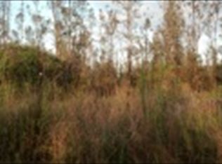 Road 9 Koloa Maoli LOT 5462, Kurtistown, HI 96760
