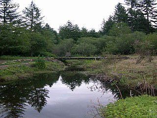 Yacolt Creek w/ Private Bridge