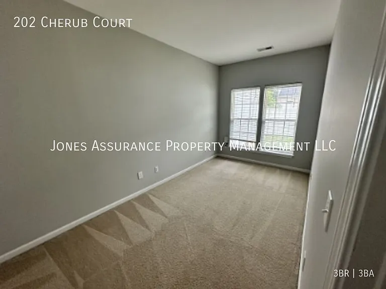 202 Cherub Ct — Photo 9