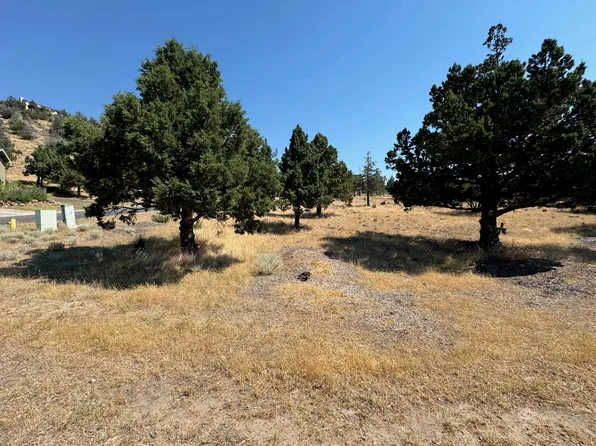9-2 Shoreline Dr Lot 96, Weed, CA 96094