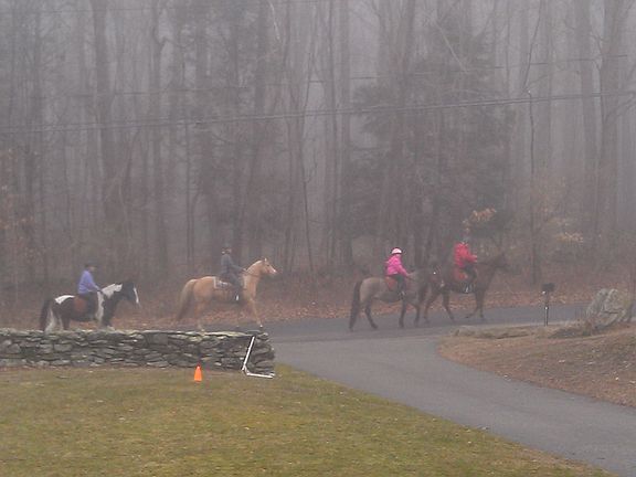 Nathan Hale State Forrest