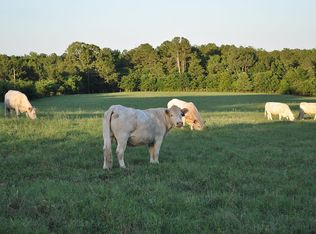 10047 County Road 29, Overton, TX 75684