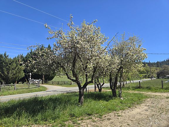 3rd image of 1065 Panther Gulch Rd