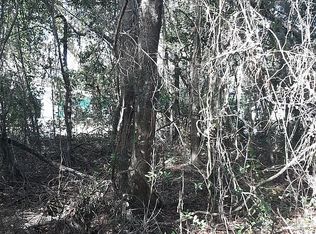 Redwing Dr, Spring hill, FL 34606