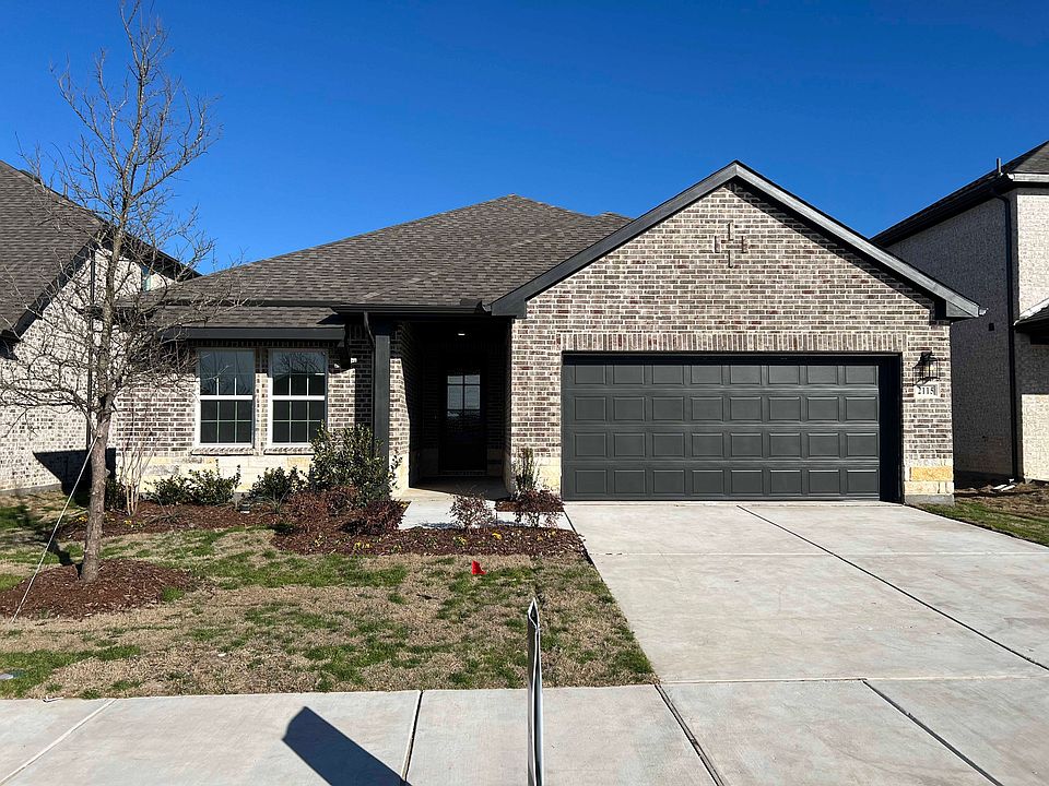 Exterior Design Construction Progress