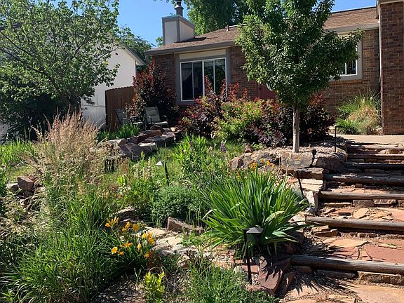 Front remodeled landscape with drip system irrigation, pear and apricot trees