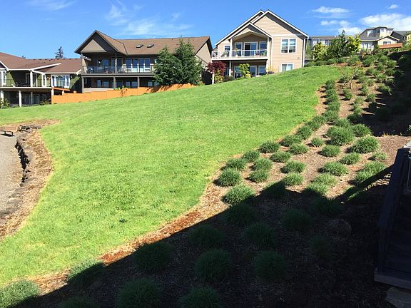 View of open space next to house