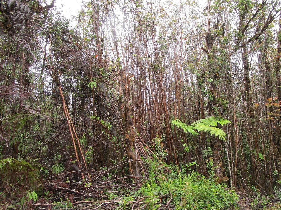 2nd image of 11-1848 Mikana St Lot 46