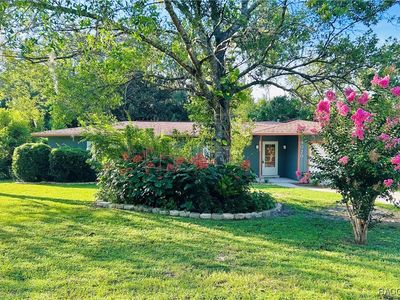 9020 N Arcadia Way, Citrus Springs, FL, 34434