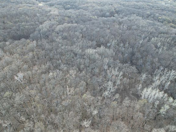 5th image of Fish Lake Rd