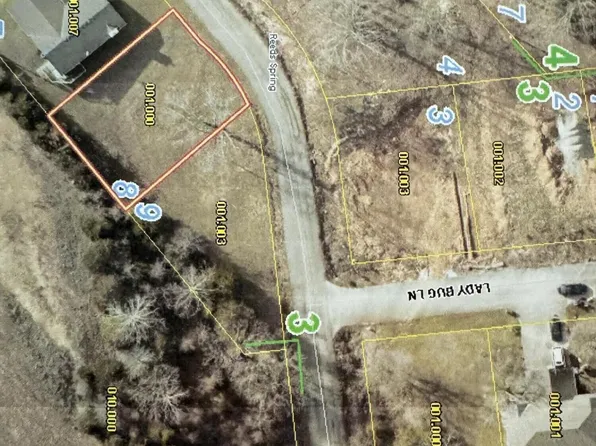 96 Rainbow Hill Lane (Lot 8-Blk 1, Reeds Spring, MO 65737