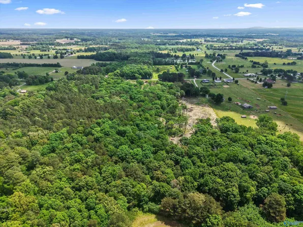 25471 Mooresville Rd, Elkmont, AL 35620