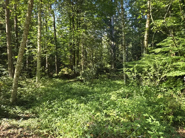 4423 Pine Ave NE, Bremerton, WA 98310