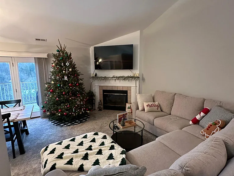 6587 Chesapeake Run — Photo 12
