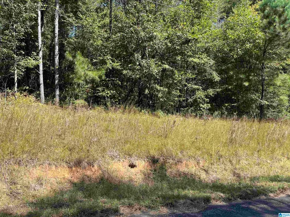 29 Deerbrook Rd, Pell City, AL 35125