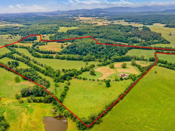 868 Novum Church Rd, Reva, VA 22735