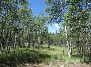 782 Bowstring Rd LOT 38, Jefferson, CO 80456