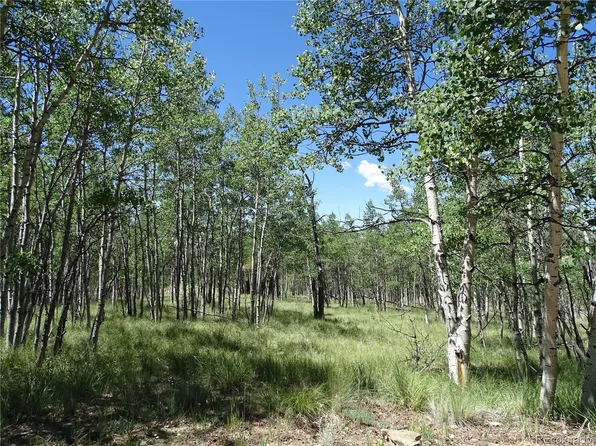 782 Bowstring Road LOT 038, Como, CO 80432
