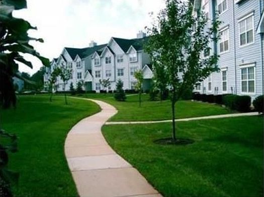 Landscape within the community