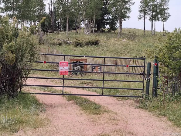 3154 CR 863, Victor, CO 80860