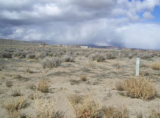 1100 E Antelope St, Silver Springs, NV 89429
