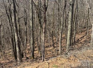 261 Grouse Thicket Rd, Mars Hill, NC 28754