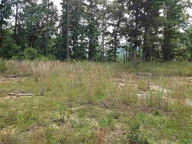 2nd image of 1132 Steve Brown Rd
