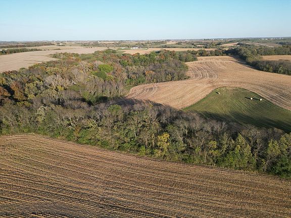 18699_1-DJI_0633