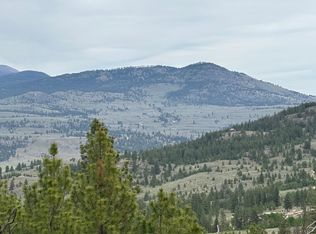 8XX Upper Reevas Basin Rd LOT 3628012011, Tonasket, WA 98855