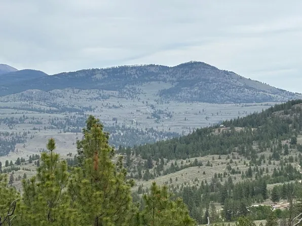 8XX Upper Reevas Basin Rd Lot 3628012011, Tonasket, WA 98855