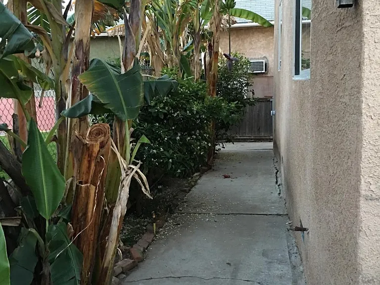 Side of house