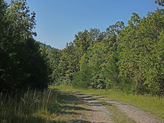 4th image of Diamond Cove Ln
