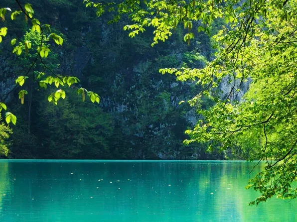 0 Chilkat Lake Rd, Haines, AK 99827