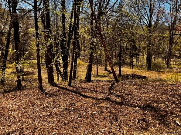 TBD Cold Spring Road, Clinton Corners, NY 12514
