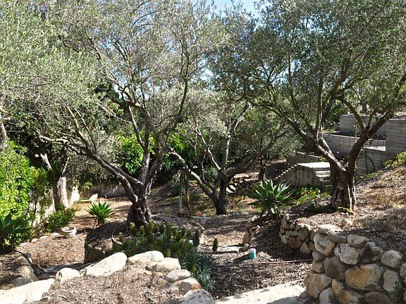 Stone Walls & Mature Trees