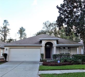 21906 Waverly Shores Ln, Land O Lakes, FL, 34637