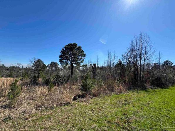LOT 2 Will Jones Rd, Jay, FL 32565