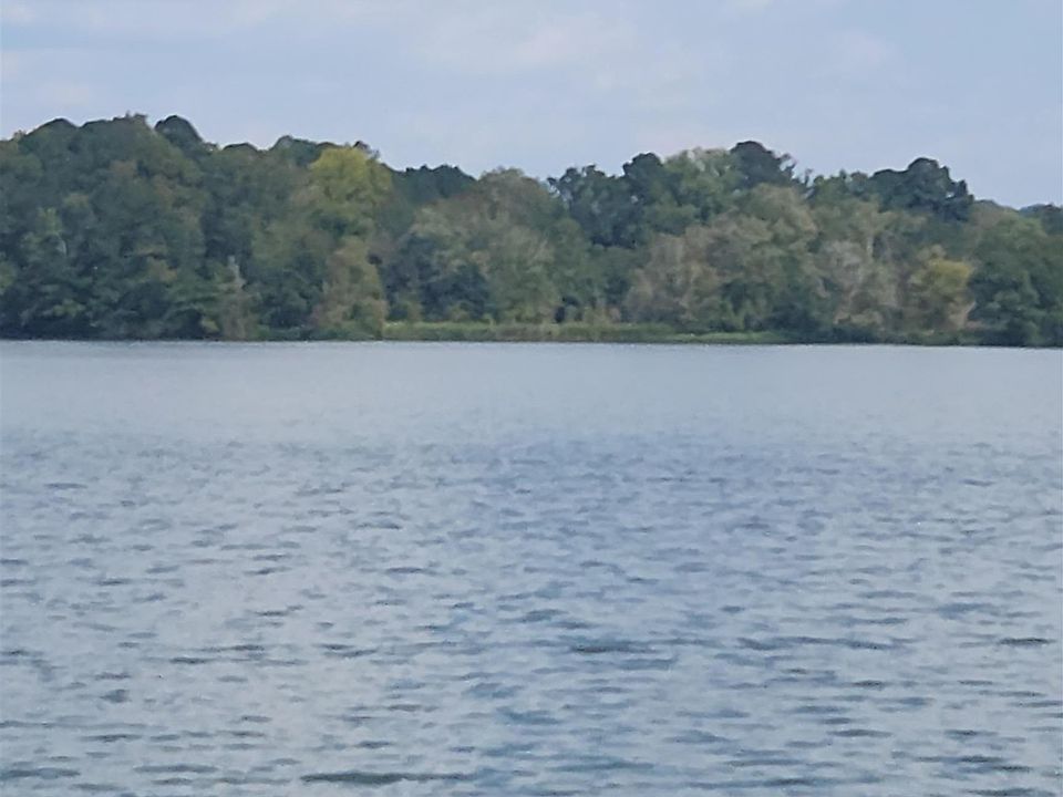 2nd image of 0 Choccolocco Creek Is #1