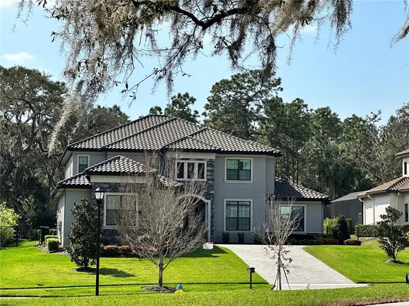 14704 Fishhawk Preserve Dr, Lithia, FL 33547