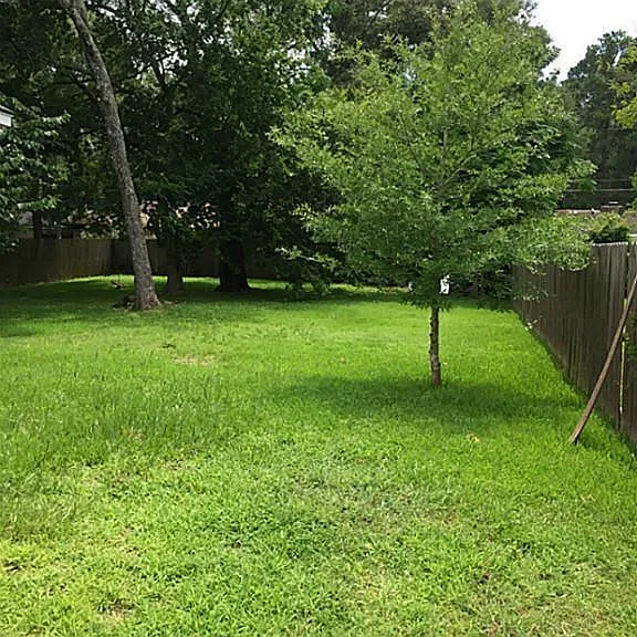 306 Bush Dr — Photo 15